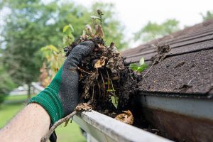 Removing a fistful of accumulated debris (leaves, dirt) from the gutters