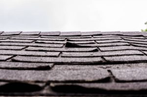 Close-up of brown asphalt roof shingles curling and buckling due to minor roof damage in Florida