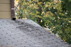 Close-up of roof damage caused by storm and weather exposure in Florida