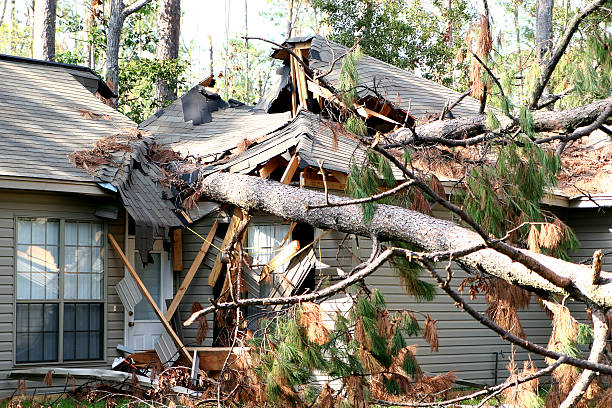 Fallen tree causing severe damage to a residential roof after a storm