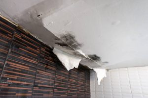 Water-damaged ceiling with peeling paint and dark mold spots from a roof leak in Florida home