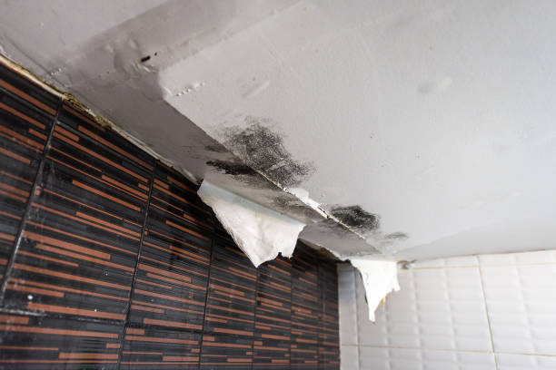 Water-damaged ceiling with peeling paint and dark mold spots from a roof leak in Florida home