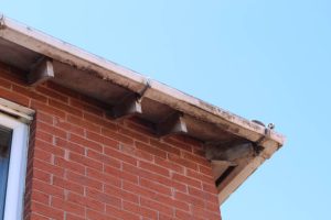 Underside view of neglected flat roof edge showing signs of leaks and poor maintenance
