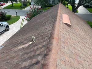Old asphalt shingle roof with heavy black algae streaks and staining in Sawgrass, FL.
