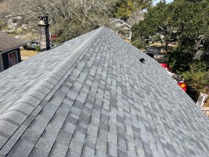 Estate Gray Duration architectural shingle roof ridge view in Downtown Jacksonville FL